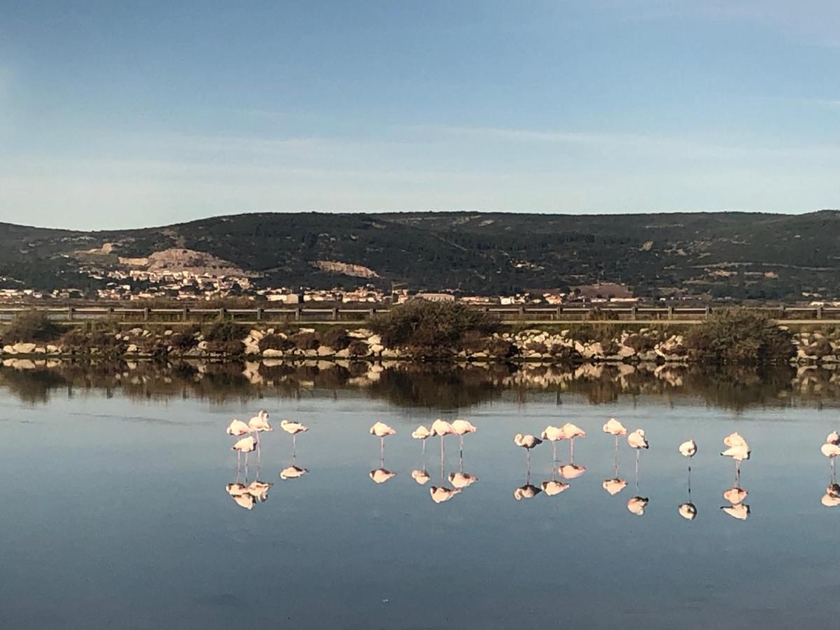 Flamants Roses 1 Pers 6 Frontignan Dış mekan fotoğraf